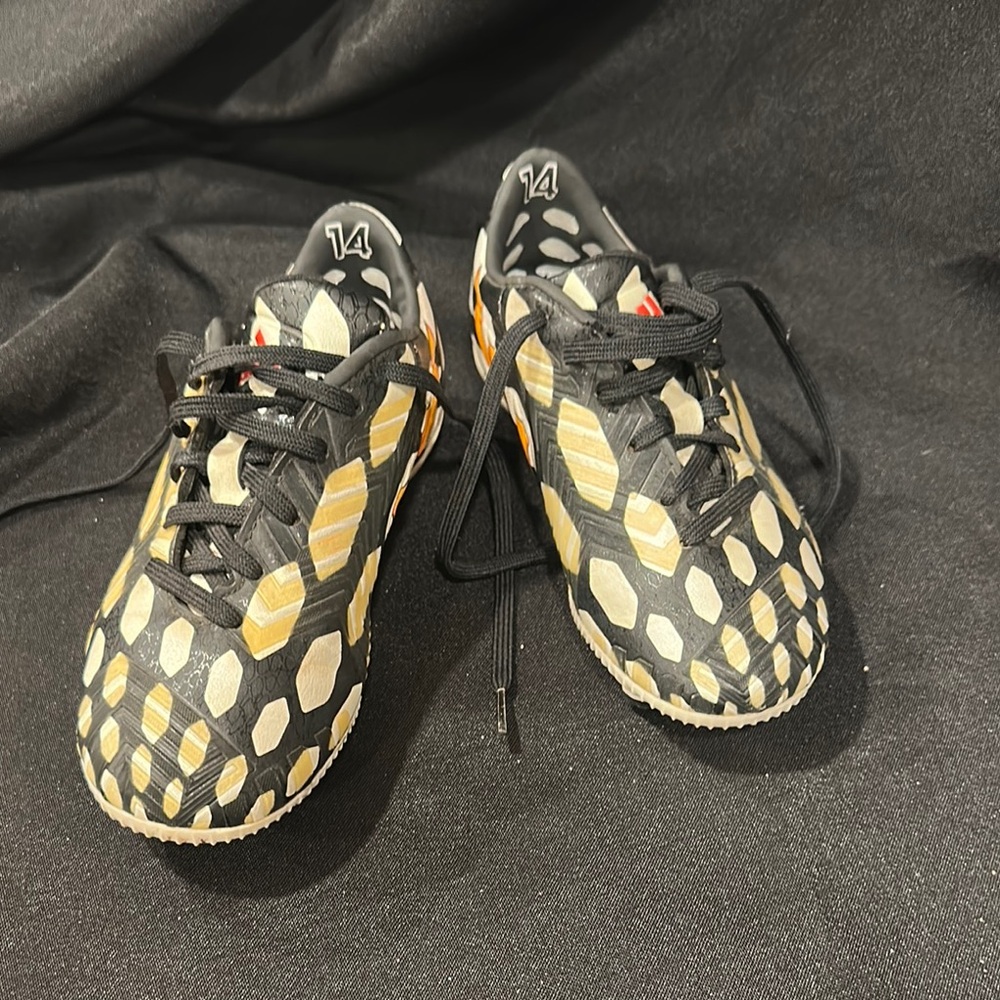 Adidas “World Cup” 2014 Predato Absolado